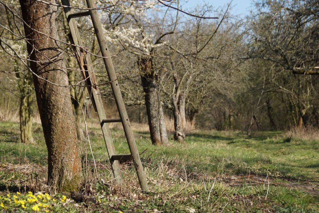 Van Eldik houten ladders - Nederlandse handgemaakte ladders voor fruit, glazenwassers en schilders met 125 jaar ervaring
